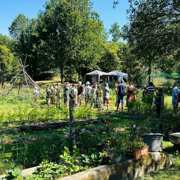 Visite de la ferme florale