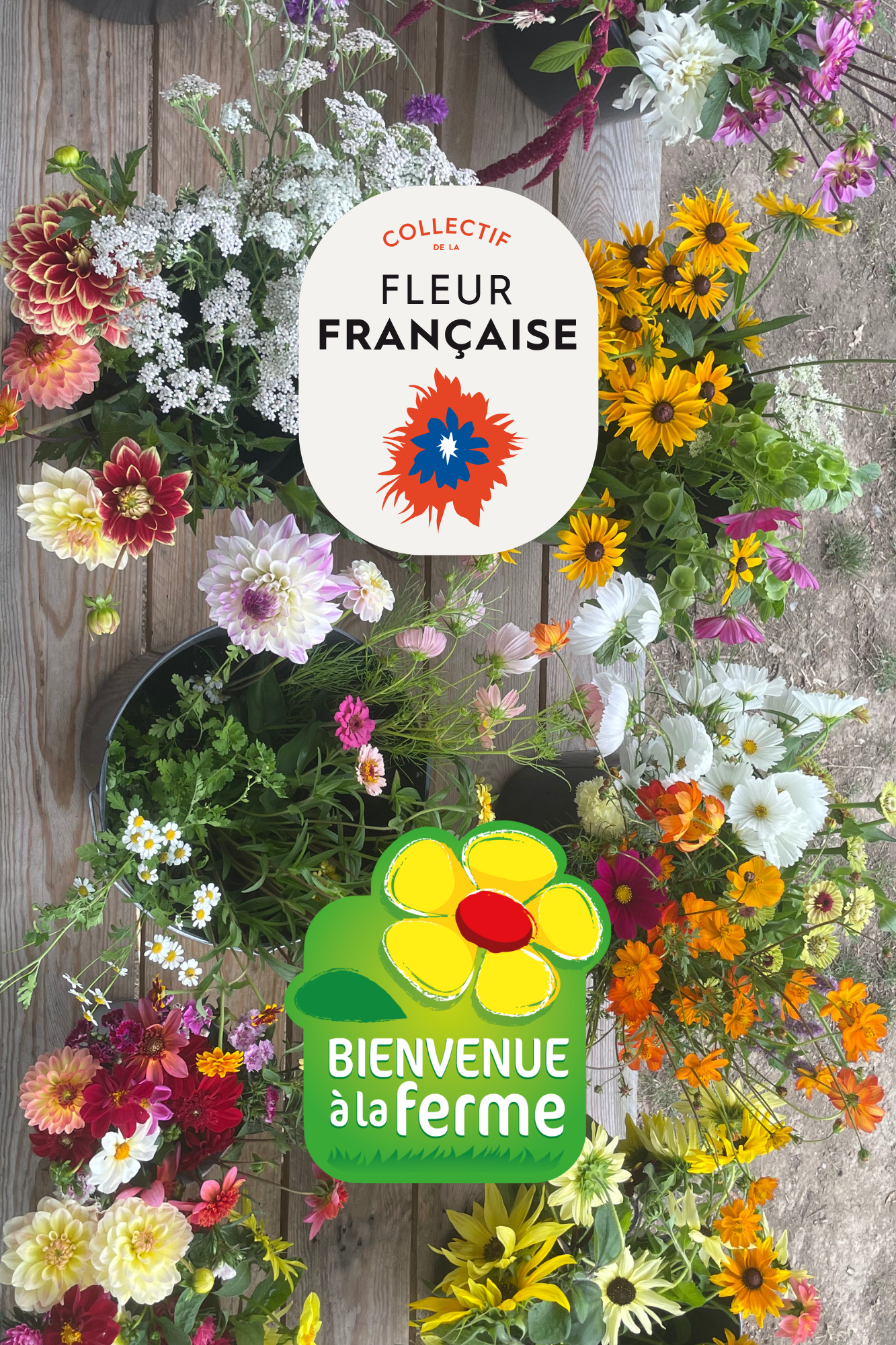 photo montage collectif et BAF Collectif de la fleur française et Bienvenue à la Ferme